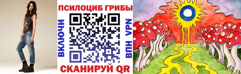 нарко площадка как зайти  Россошь  Галлюциногенные грибы GOLDEN TEACHER 